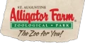  Alligator Farm
