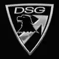  DSG Arms